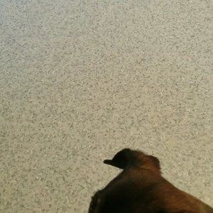 Meet your Posher, Letha